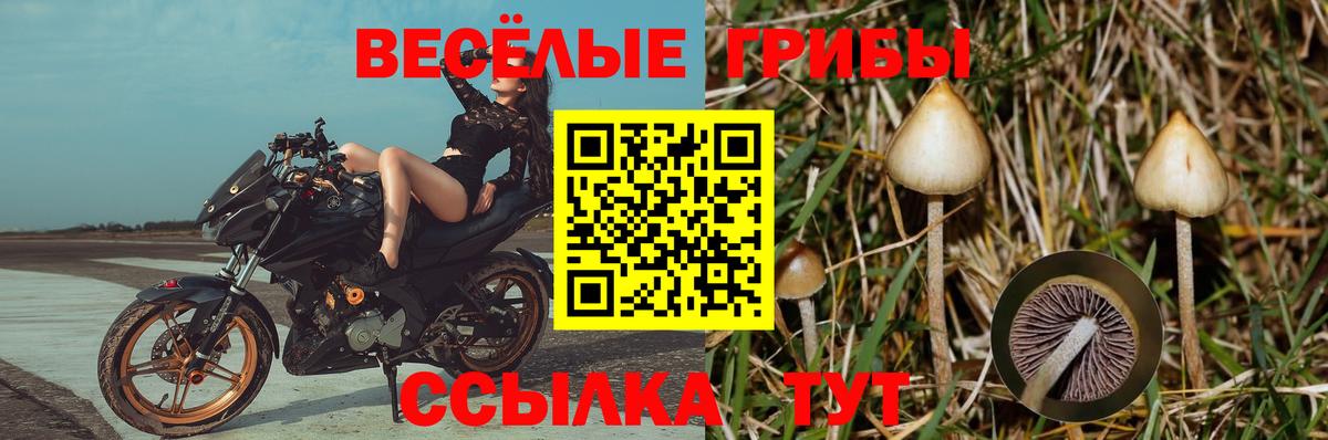 Лсд 25  Метадон  Мефедрон   ЭКСТАЗИ  ГАШИШ  НБОМе  Гашиш  Шахты  МДМА  Вход с VPN 